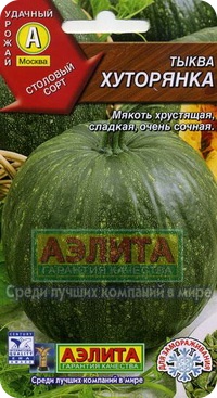 Сорт тыквы Хуторянка