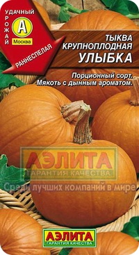 Сорт тыквы Улыбка