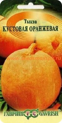 Сорт тыквы Кустовая оранжевая