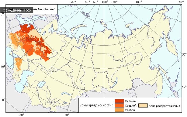 Зона вредоносности афаномицетной корневая гнили гороха (Aphanomyces euteiches Drechsl.)