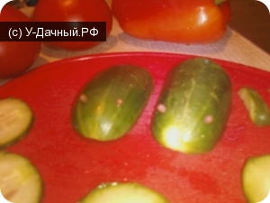 Дачные поделки из овощей Дачные поделки из овощей