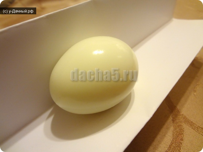 сердечко из яйца - положите на плотный картон сердечко из яйца - положите на плотный картон