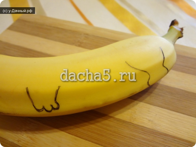 рисуем лапы таксы на банане