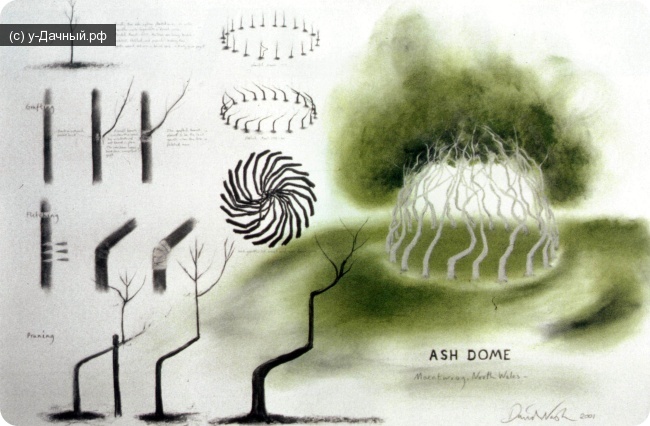 дом из ясеня созданный Давидом Нешем David Nash