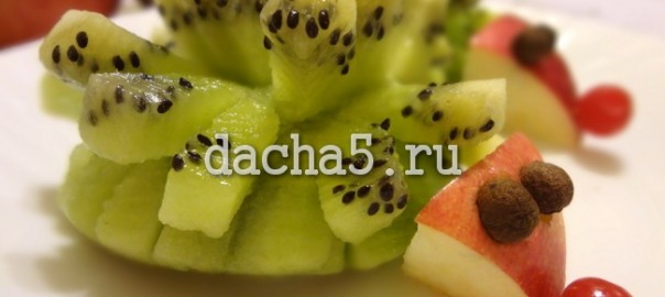 ёжики из киви